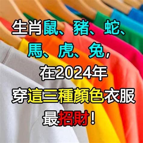 鼠的幸運色|【屬鼠顏色】2024年，屬鼠招運必備：開運顏色、風水指南